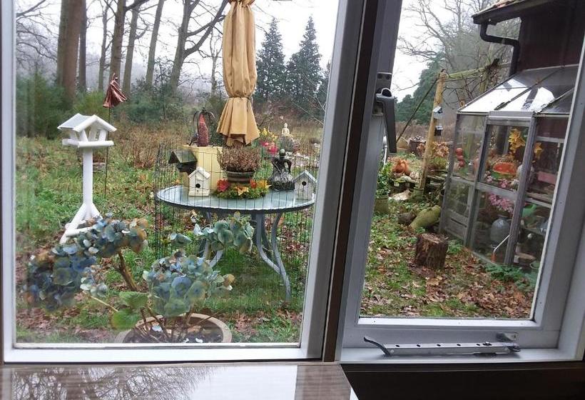 تختخواب و صبحانه Regina Vught