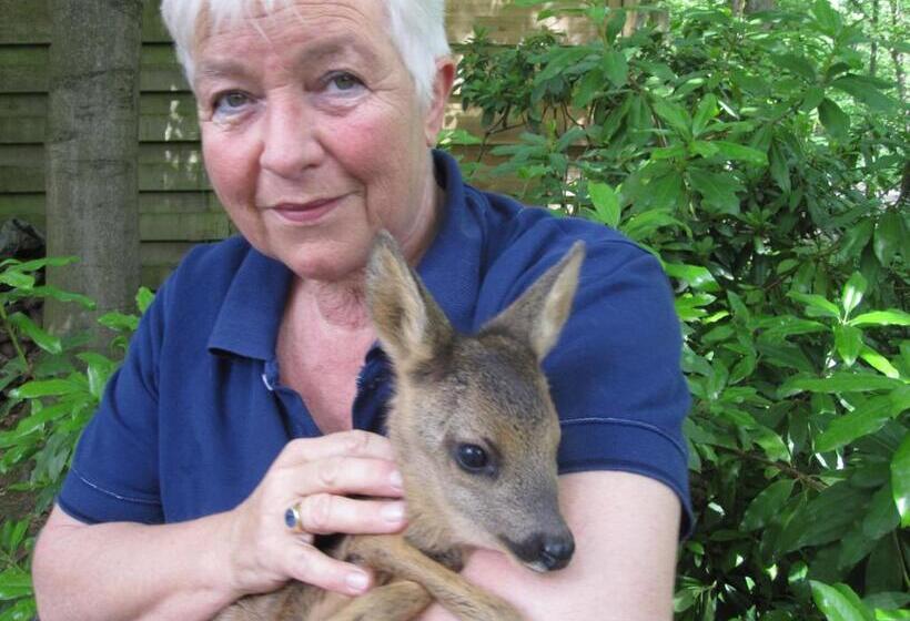 تختخواب و صبحانه Regina Vught