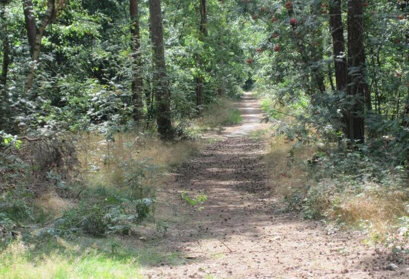 تختخواب و صبحانه Regina Vught