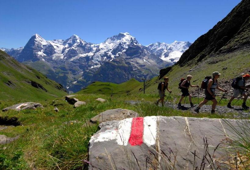 호스텔 Schutzenbach Backpackers For Adults 18 35