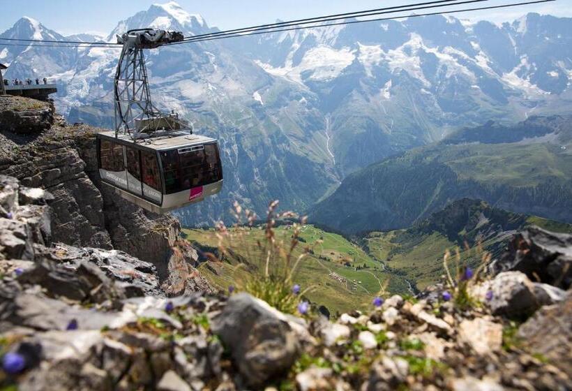 호스텔 Schutzenbach Backpackers For Adults 18 35