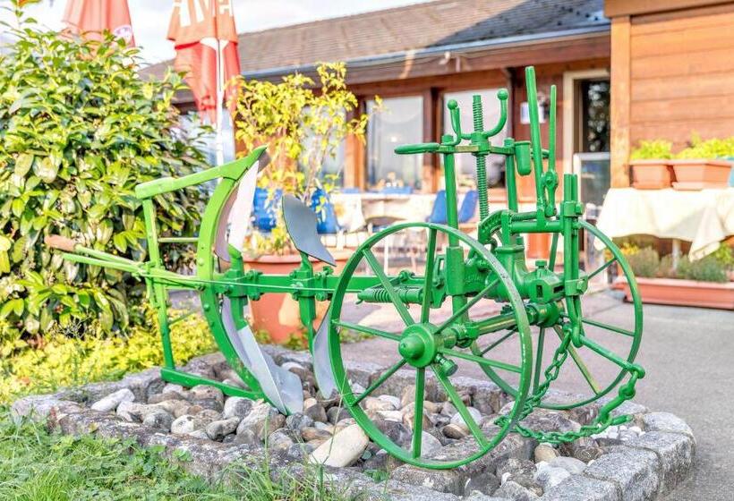 בית מלון כפרי Restaurant Möve