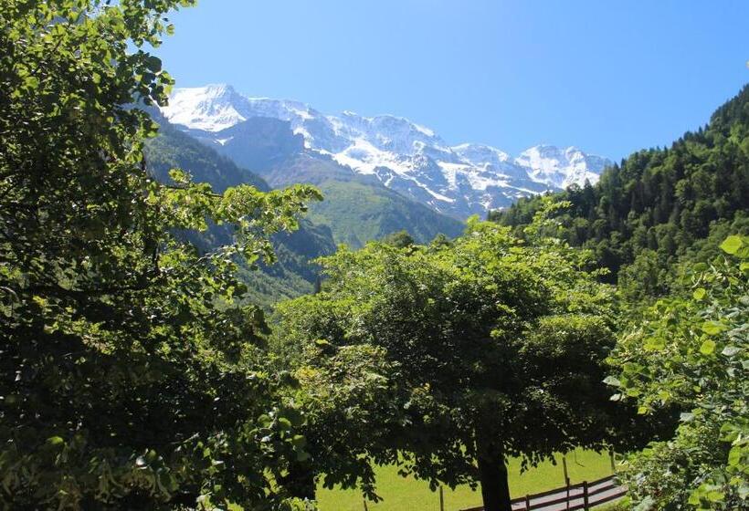 فندق Restaurant Stechelberg Bed & Breakfast