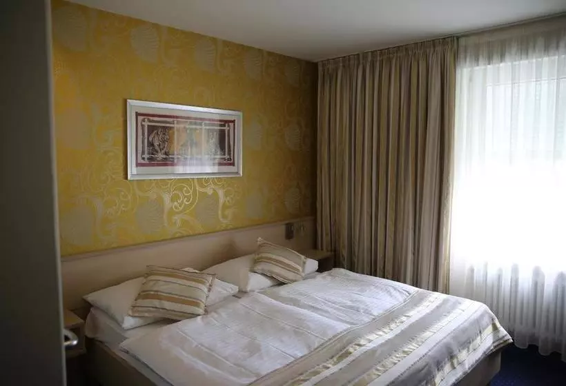 هتل Schlüssel Binningen