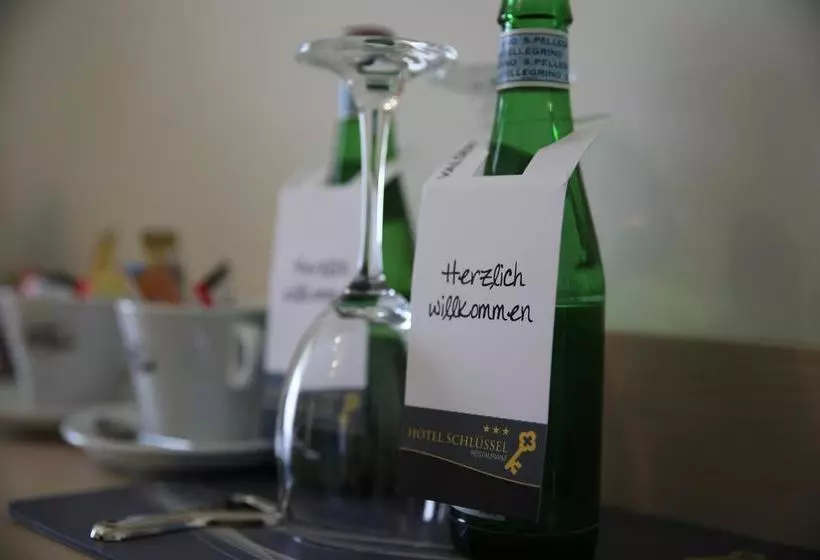 هتل Schlüssel Binningen