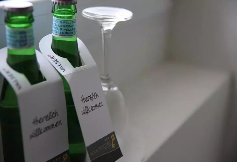 هتل Schlüssel Binningen