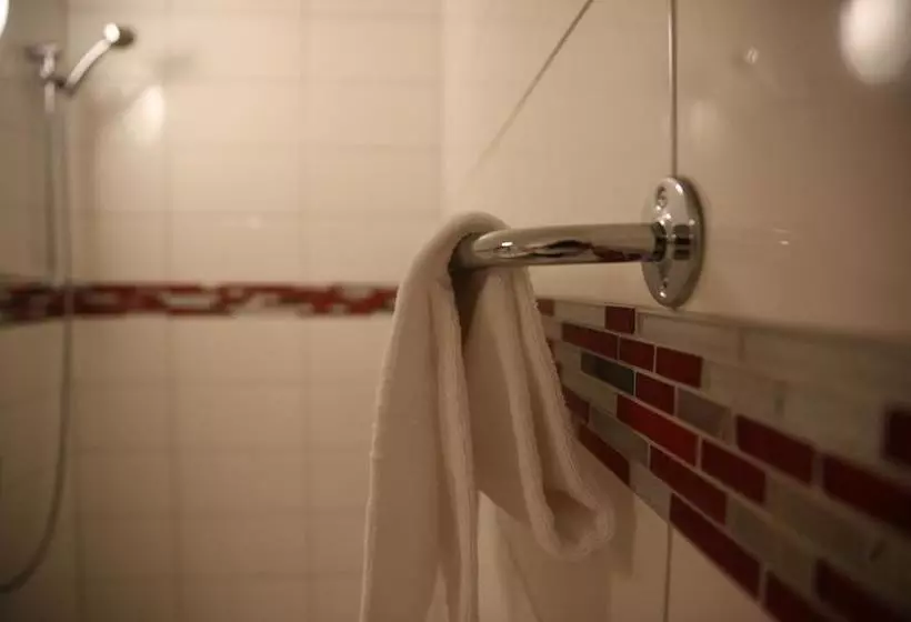 هتل Schlüssel Binningen