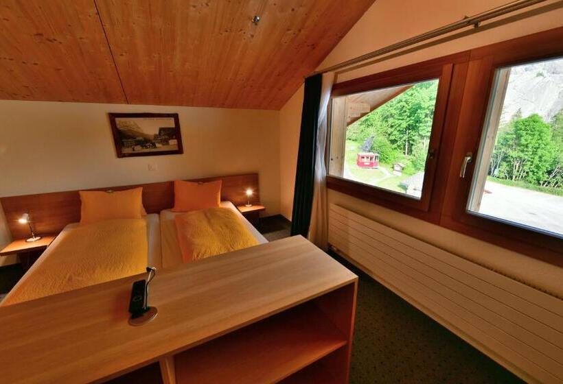 Отель Wetterhorn