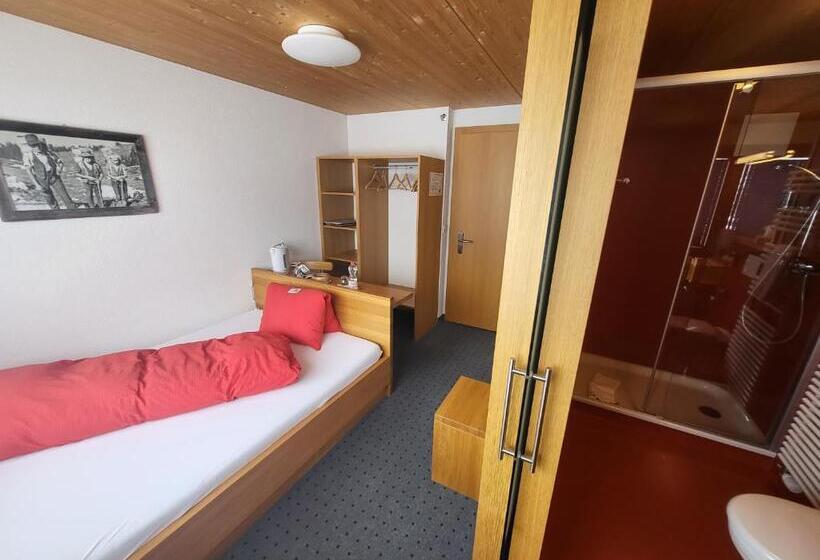 Отель Wetterhorn