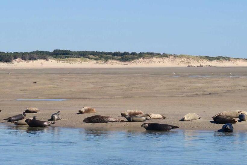 Bed and Breakfast Chambre D’hôte