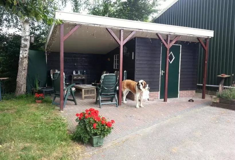 B&b De Rivierduin