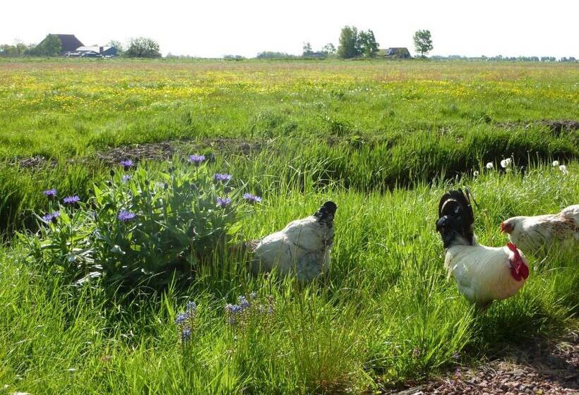 B&b En Vakantiehuisje Ursula