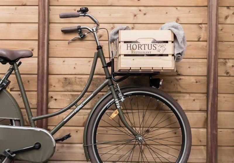 Bed and Breakfast La Paulowna Boutique