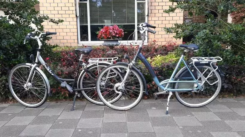 B&b Le Bon Vivant Eindhoven