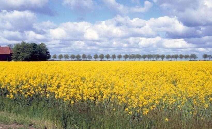 Hostel Herberg De Esborg Scheemda