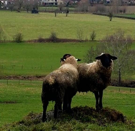 酒店 ,herberg & Appartementen De Smidse
