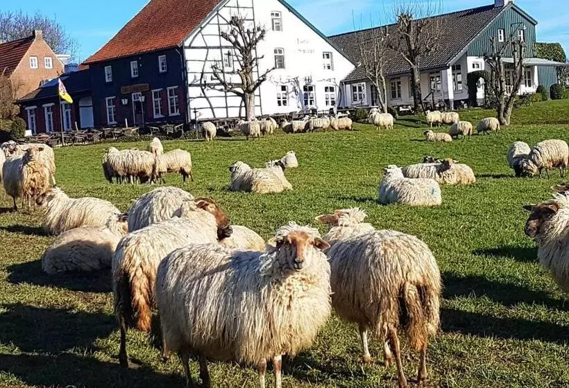 ホテル ,herberg & Appartementen De Smidse