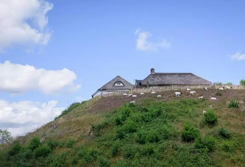 Hotelli Het Montferland