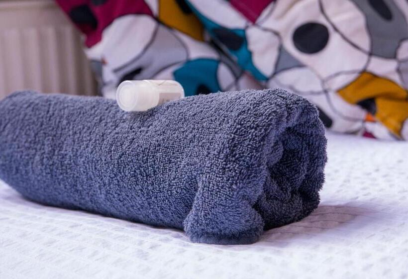 בית מלון כפרי Simplon Hostel