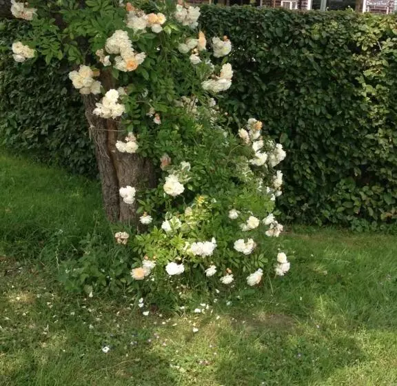 Shepherds House B&b