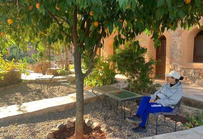 Hotel Azzaouia Resort & Development