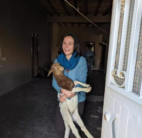 Aamiaismajoitus (B&B) Guest House Nomad Life