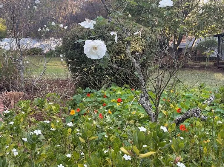 ペンション Boven Villa
