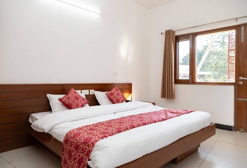 Отель Lychee Bagh