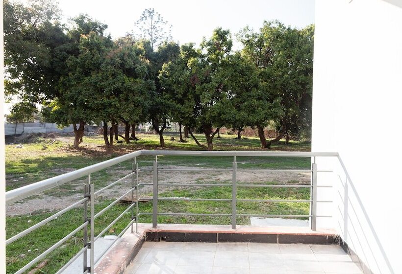 Отель Lychee Bagh