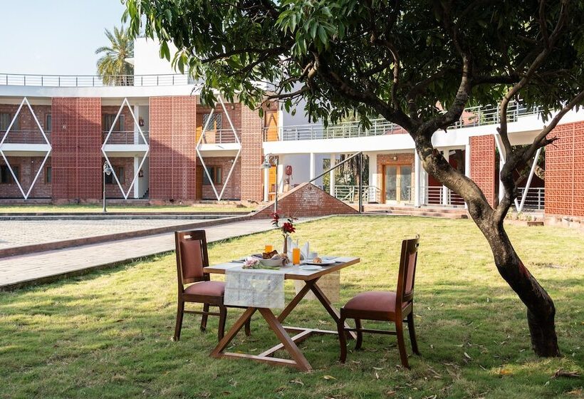 Отель Lychee Bagh