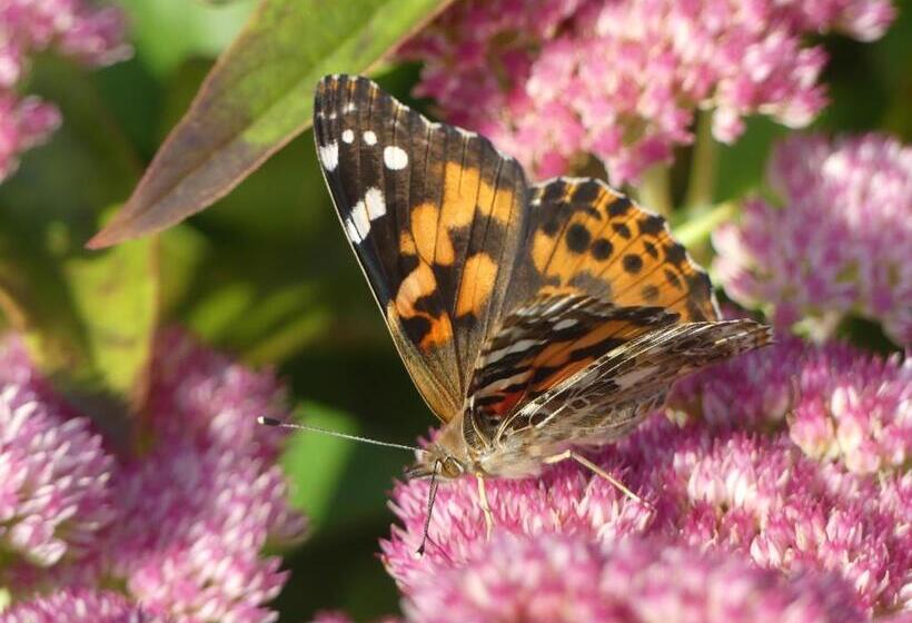 مبيت وإفطار Gîte Du Village   Deschambault