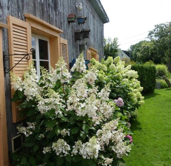 مبيت وإفطار Gîte Du Village   Deschambault