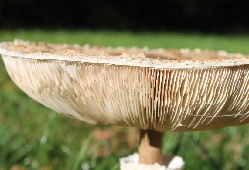 Boutique Hotel Nieuw Beusink