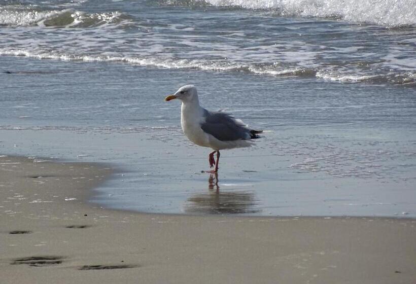 ホテル Café Restaurant De Kroon