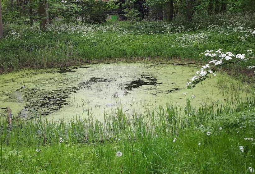 בית מלון כפרי Huys Ter Schelde