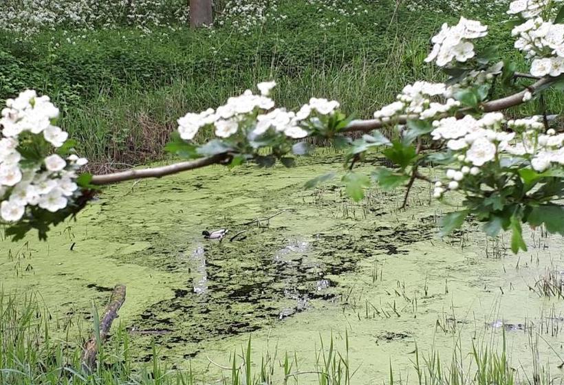 בית מלון כפרי Huys Ter Schelde