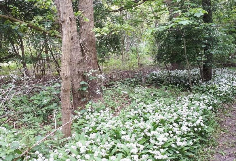 בית מלון כפרי Huys Ter Schelde