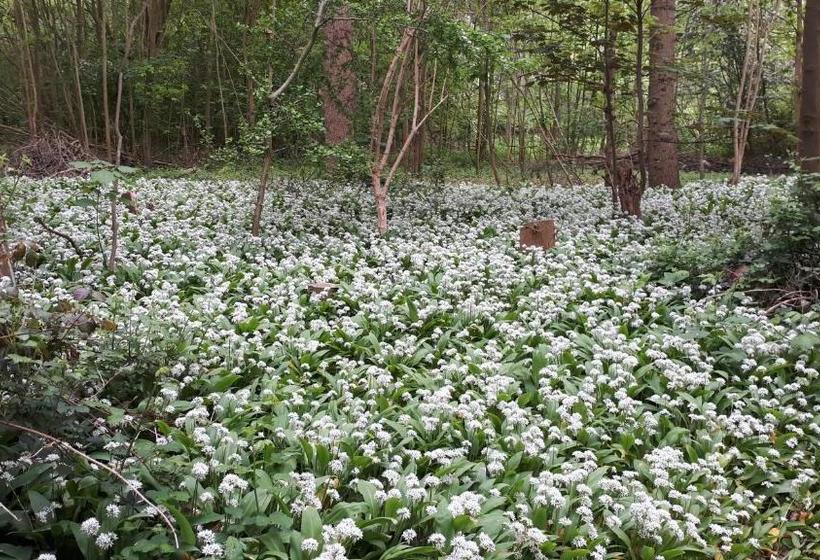 בית מלון כפרי Huys Ter Schelde