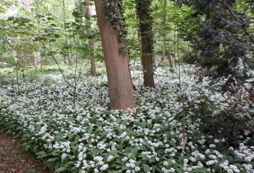 בית מלון כפרי Huys Ter Schelde