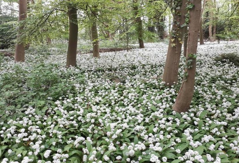 בית מלון כפרי Huys Ter Schelde