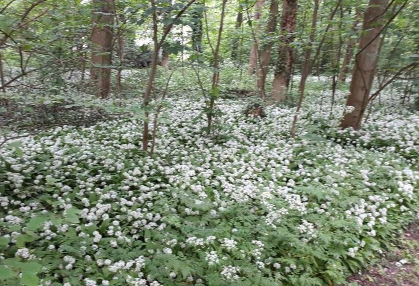 בית מלון כפרי Huys Ter Schelde