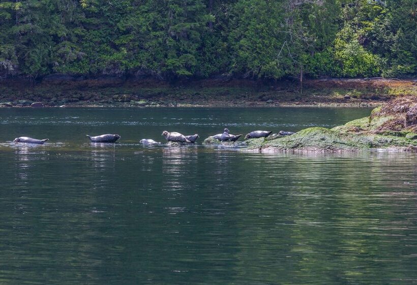 מוטל Bathgate Resort And Marina