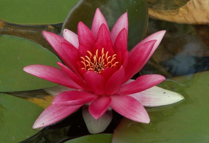 فندق على الطريق Jasper Way Inn Resort & Campground