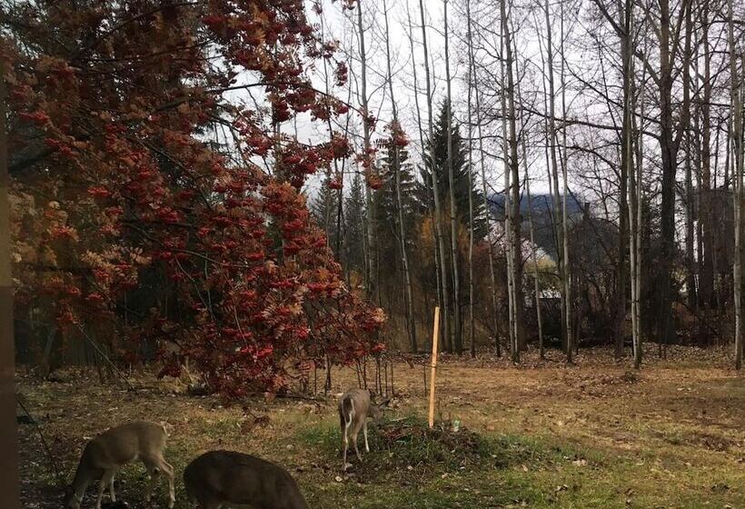 مُتل Pinewood Inn