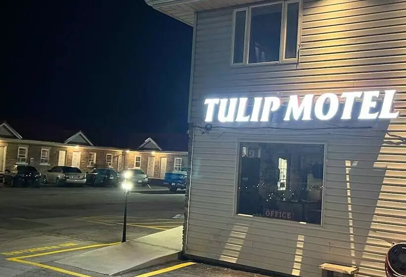 Tulip Motel
