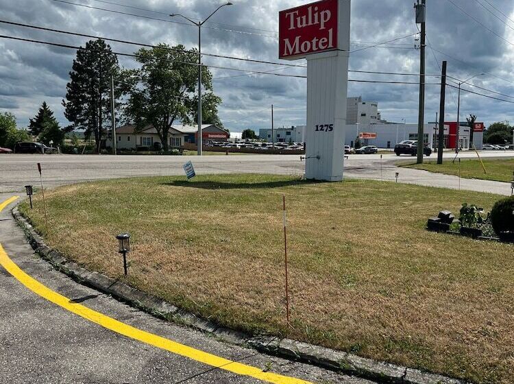 Tulip Motel