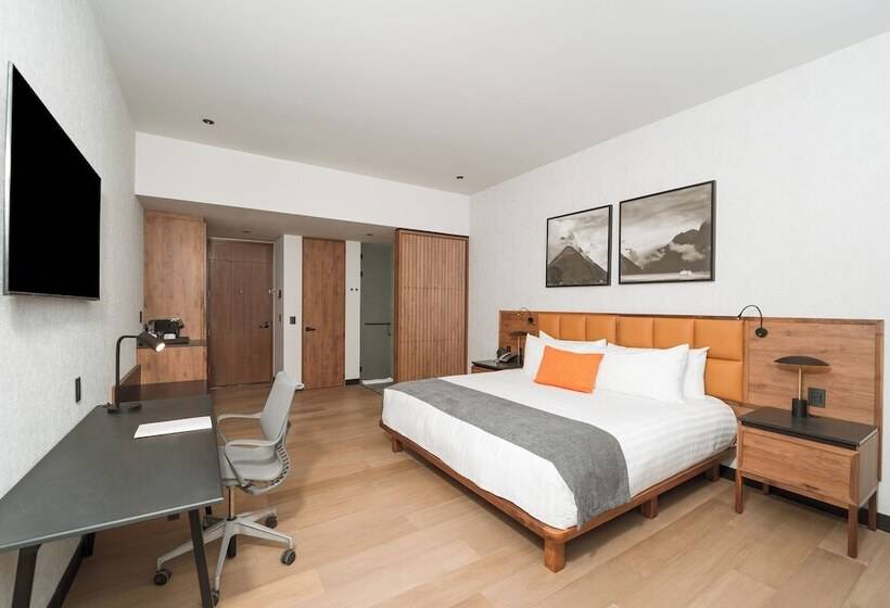 호텔 Galeria Plaza Leon