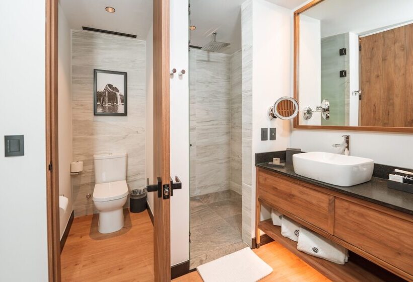 호텔 Galeria Plaza Leon