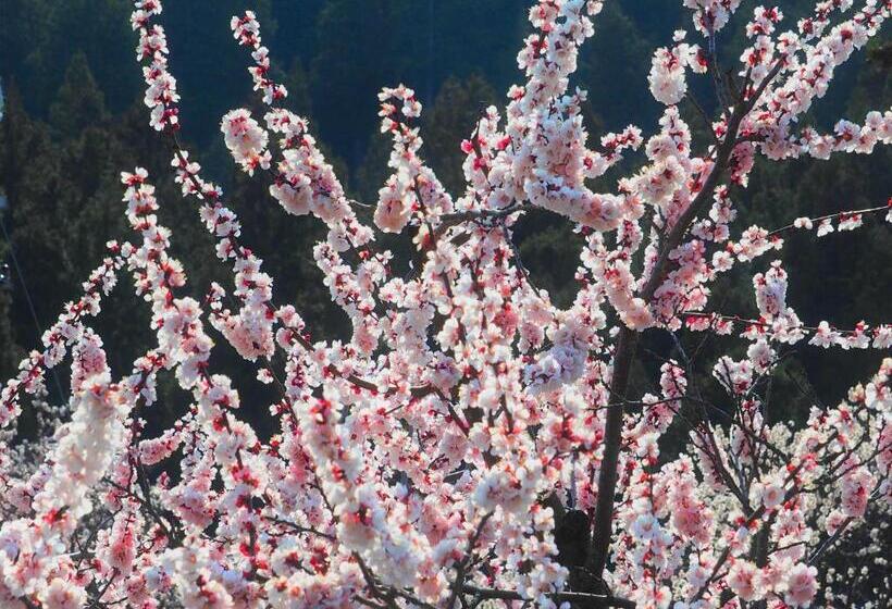 Ryokan ホテル晴山