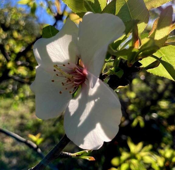 Nocleg ze śniadaniem Bnb Noto Charming Tiny House